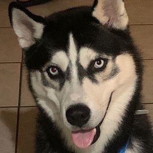 Meet your Posher, Charles